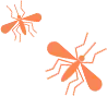 insects.png